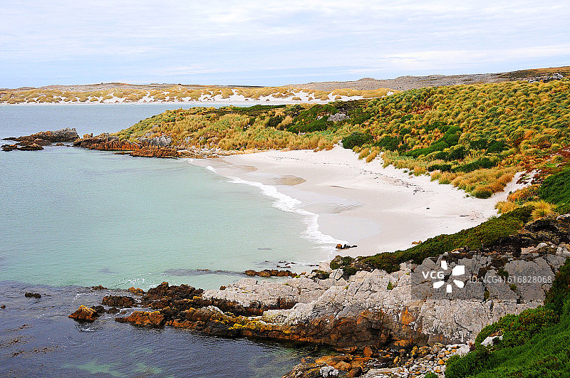 斯坦利附近的约克湾海滩/马尔维纳斯群岛（福克兰群岛）图片素材