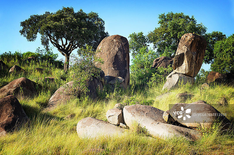 塞伦盖蒂北部的小山图片素材