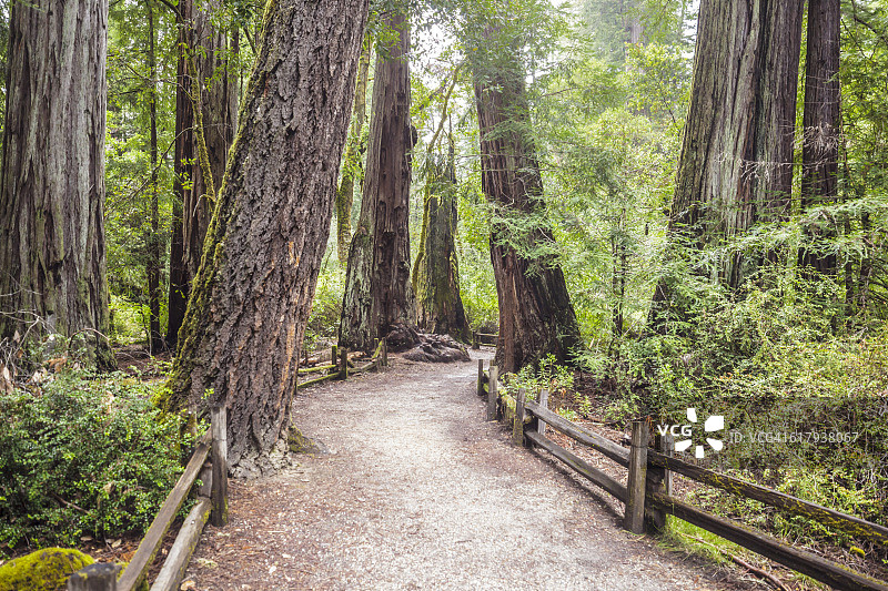 美国的美丽图片素材
