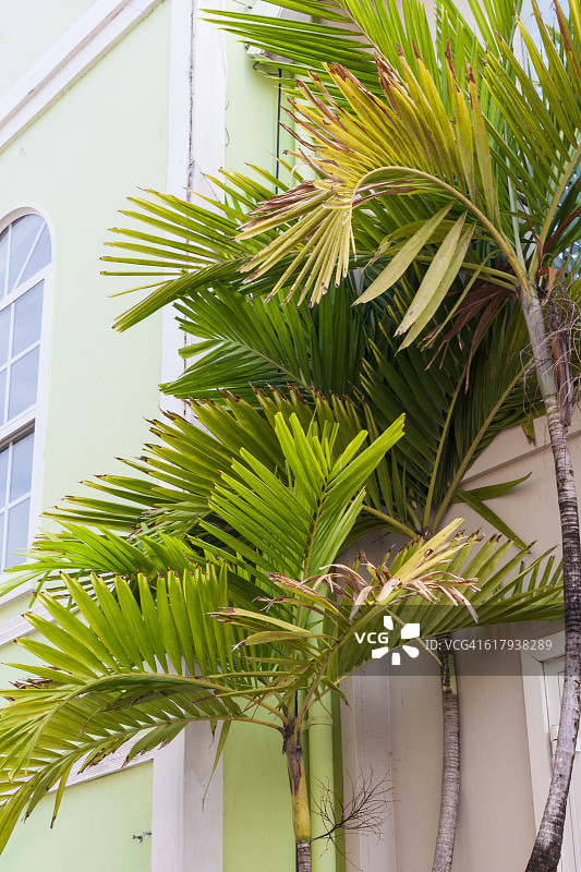 色彩故事-绿色图片素材