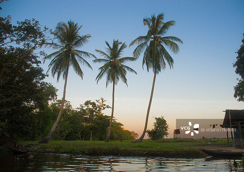 色彩故事-绿色图片素材