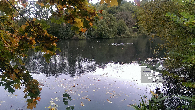 色彩故事-绿色图片素材