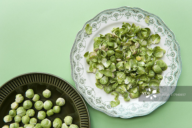 色彩故事-绿色图片素材