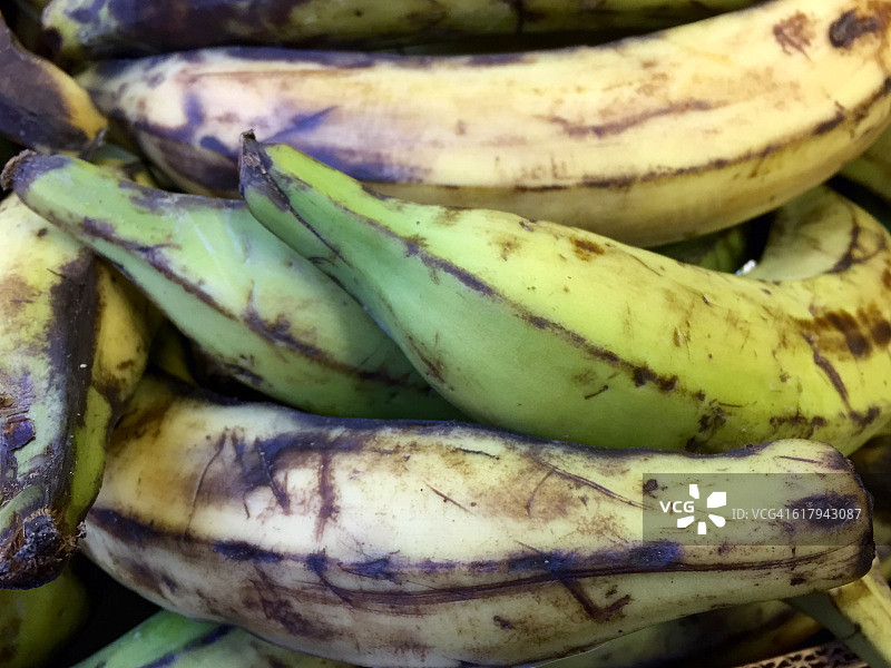 丑陋也是一种美图片素材