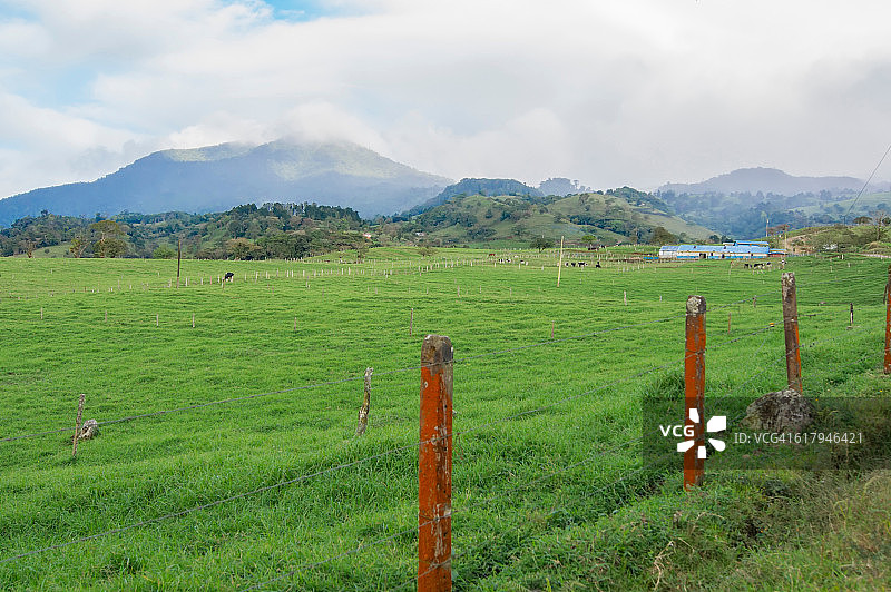 色彩故事-绿色图片素材