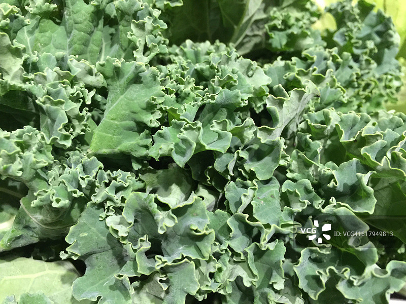 色彩故事-绿色图片素材