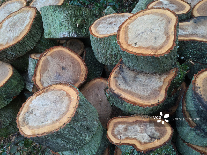 色彩故事-绿色图片素材