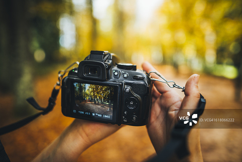 相机拍摄森林场景图片素材