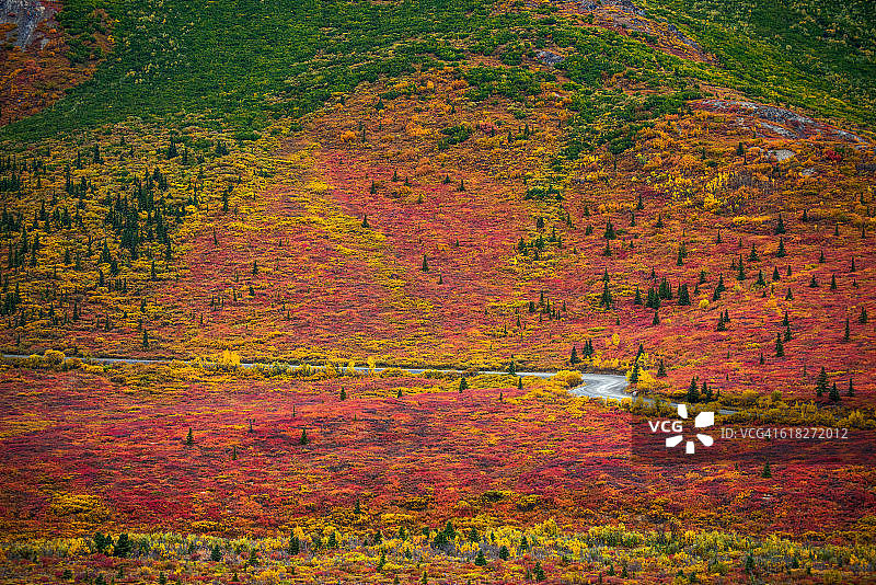 阿拉斯加德纳里国家公园的秋天图片素材