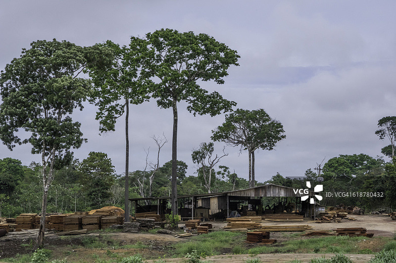 亚马逊河的锯木厂图片素材