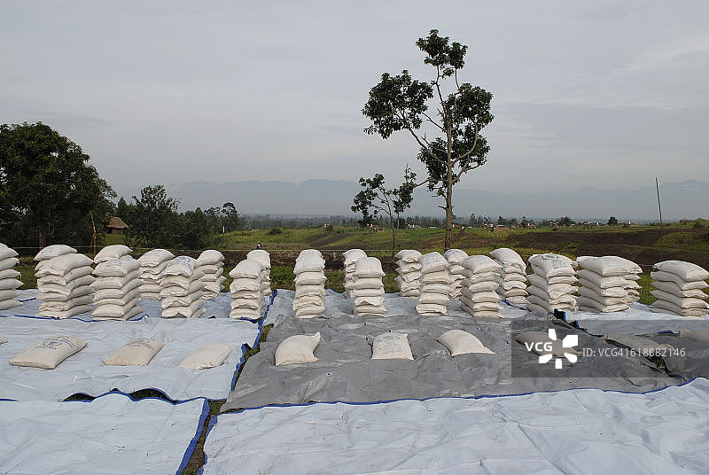 非洲人道主义援助图片素材