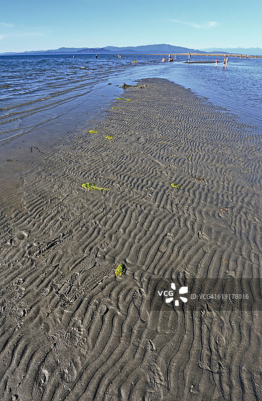 帕克斯维尔海滩图片素材
