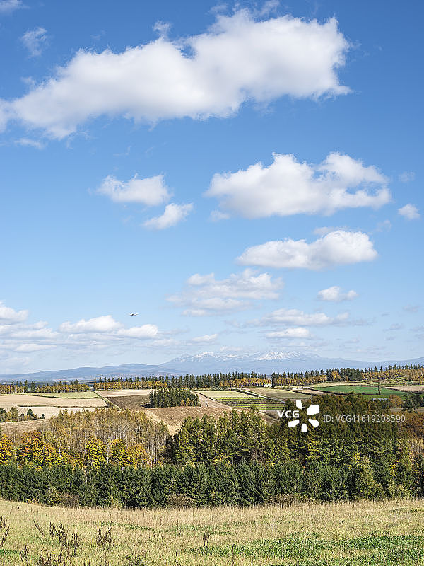 北海道秋日风光图片素材