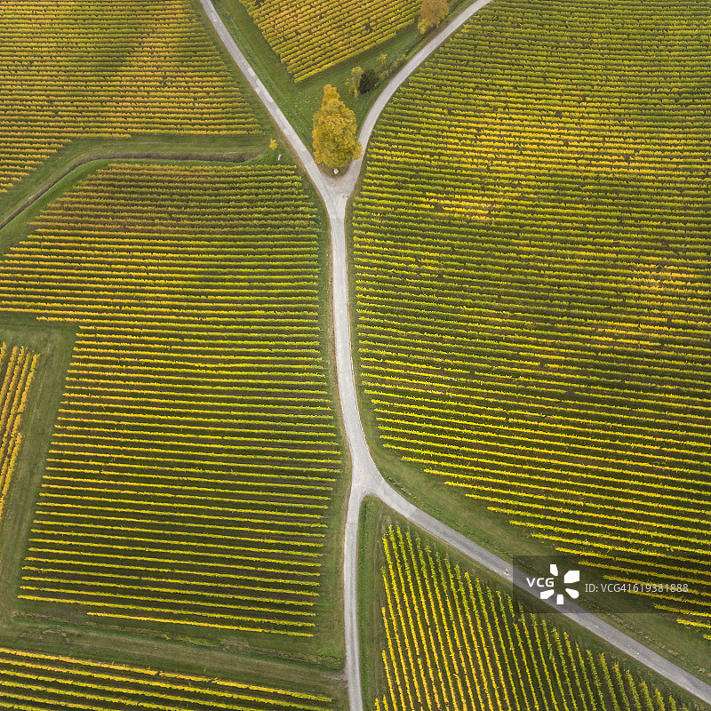 葡萄园与岔路口的鸟瞰图图片素材
