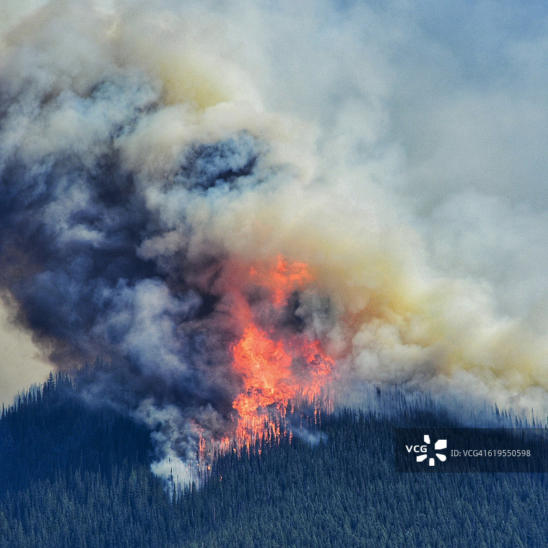 蒙大拿州森林火灾3图片素材