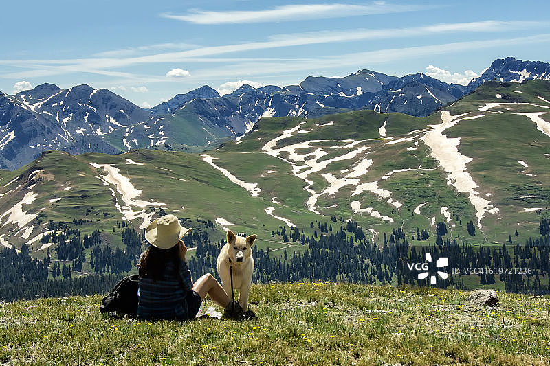 山腰午餐地点与狗图片素材