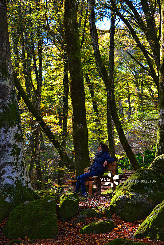 成年女性坐在山毛榉森林的长椅上放松图片素材