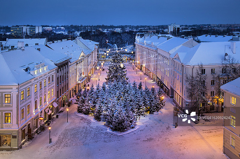 爱沙尼亚，塔尔图，市政厅广场上白雪皑皑的圣诞树图片素材