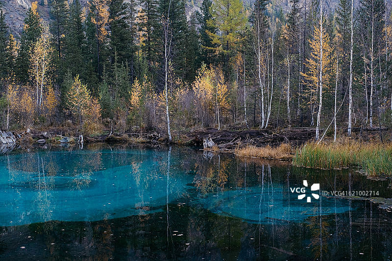 阿尔泰山脉中 необычный 的蓝色湖泊，俄罗斯图片素材