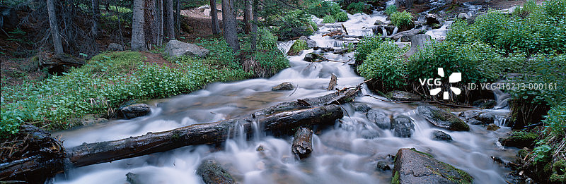 河流中的原木图片素材