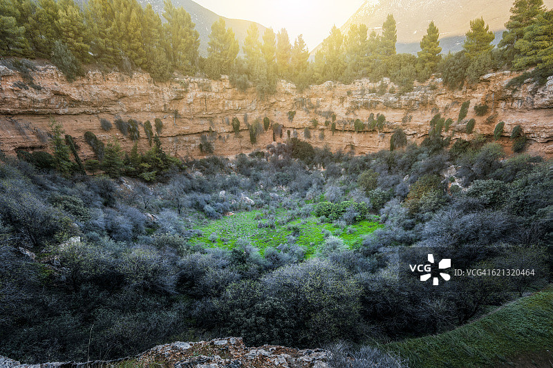 火山口小森林图片素材