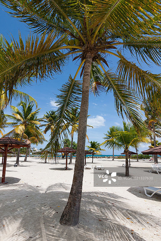 法属瓜德罗普岛的加勒比海滩图片素材