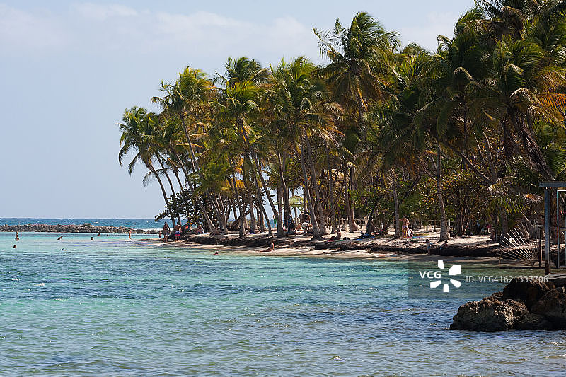 瓜德罗普岛拉卡拉维尔加勒比海滩图片素材
