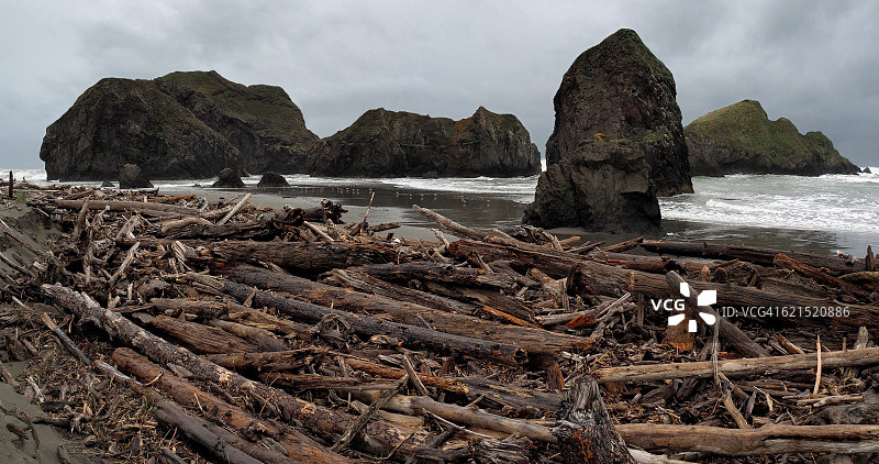 全景：俄勒冈州手枪河州立公园南梅耶斯海滩景观图片素材