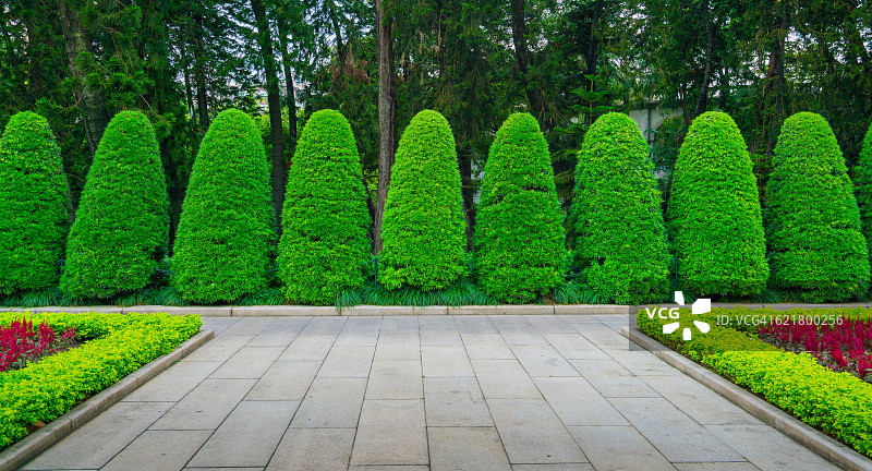 一排树图片素材