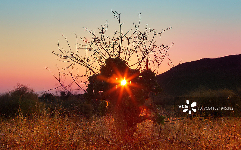 静谧的日出图片素材