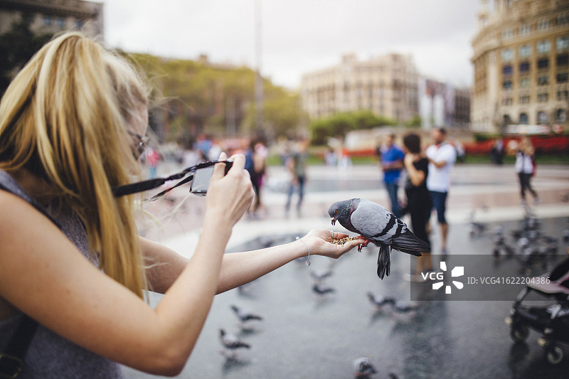 手喂鸽子图片素材
