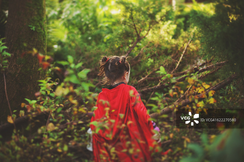 穿梭森林的小红帽图片素材