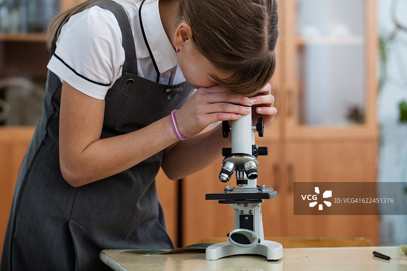 学校生物课图片素材