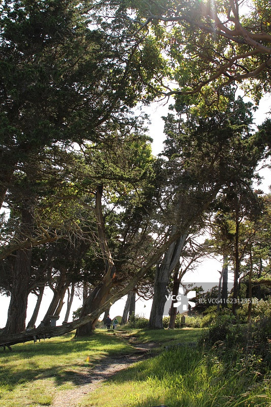 在苏西亚岛的小路上行走图片素材