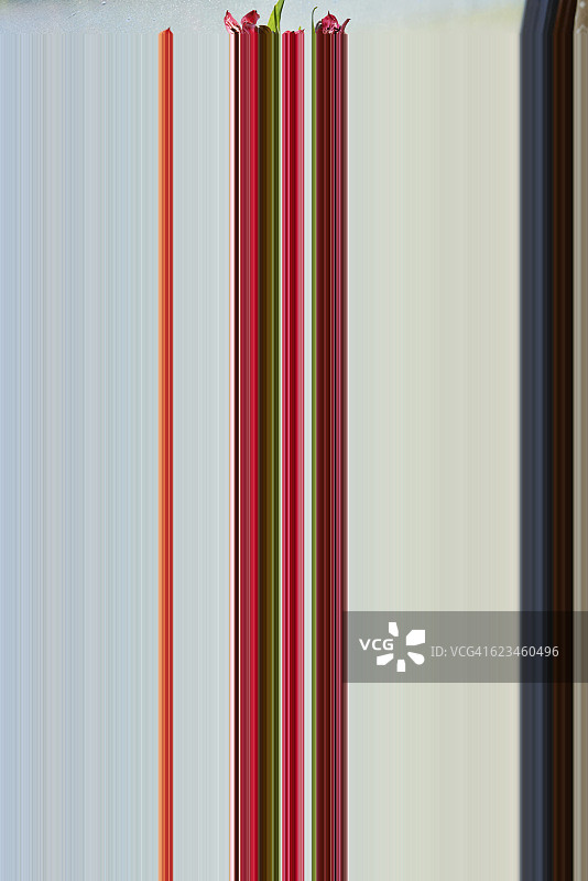 豪华的跨西伯利亚特快列车上的自助早餐图片素材