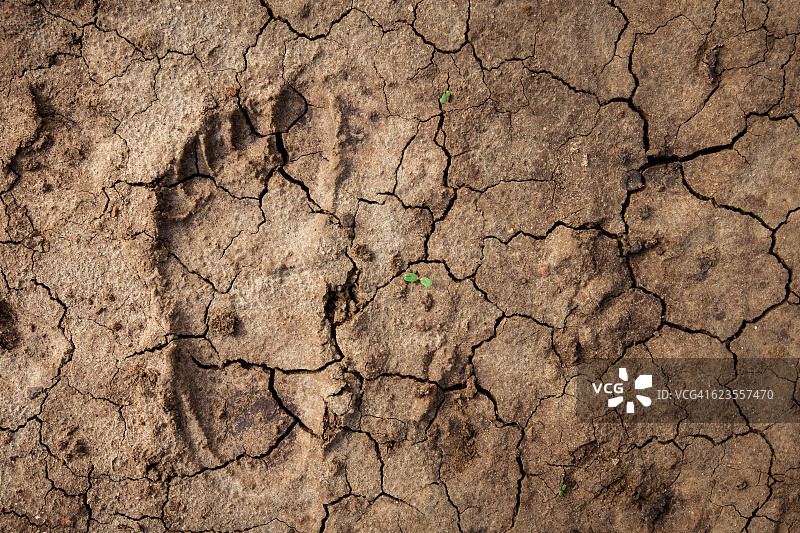东非沙漠（马拉维）中的人类足迹图片素材