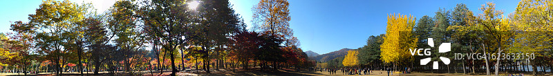 韩国江原道春川市南怡岛秋季全景图片素材