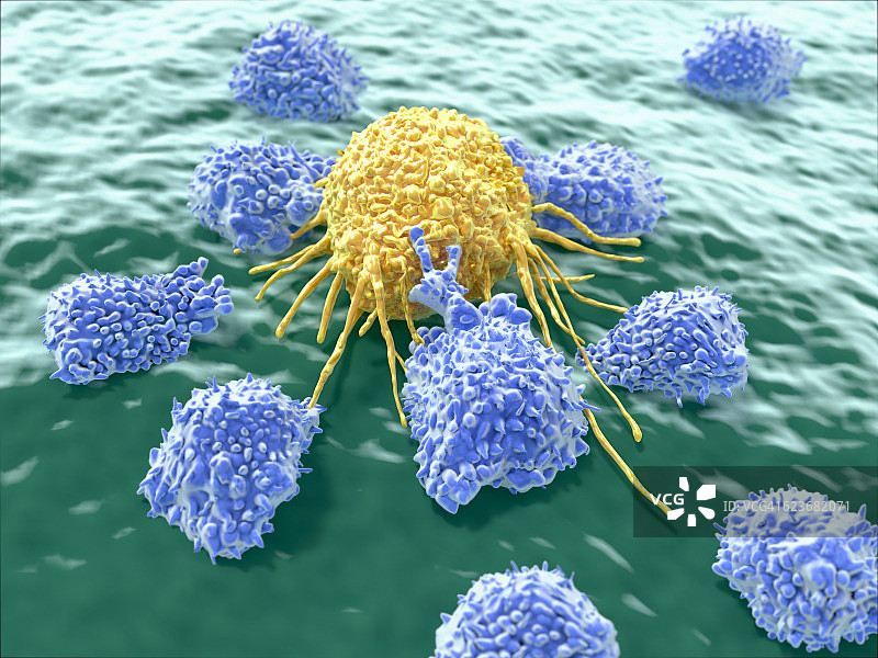 淋巴细胞攻击癌细胞图片素材
