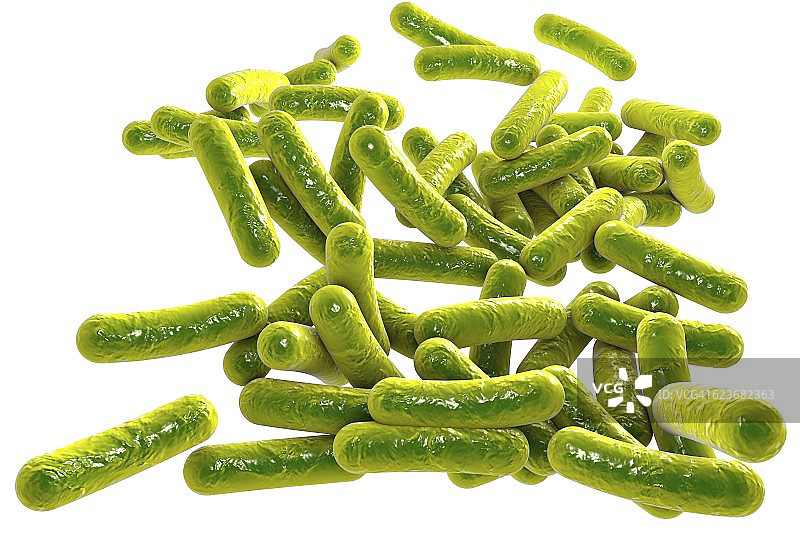 杆状细菌，图示图片素材