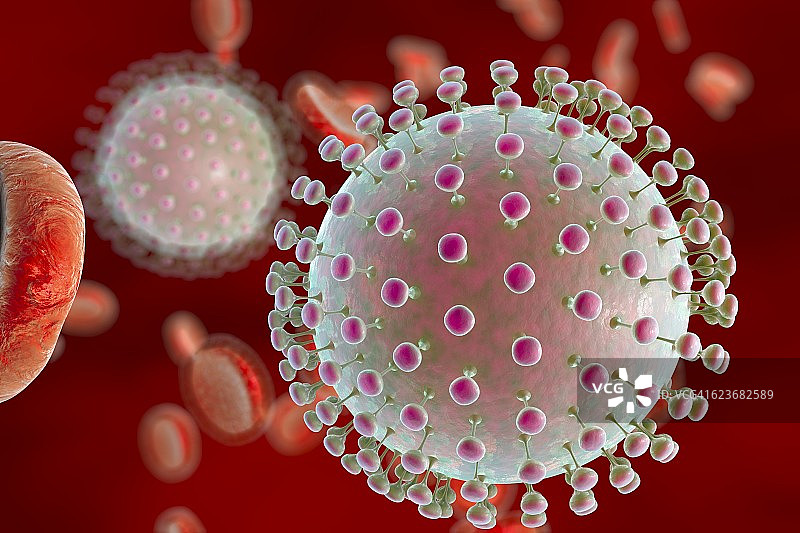 血液中寨卡病毒插画图片素材