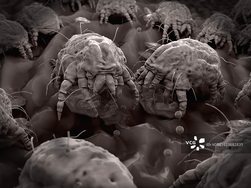 尘螨插画图片素材