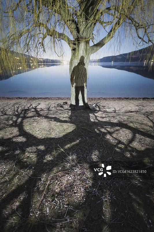 加拿大不列颠哥伦比亚省湖区，黑杨树干上的人影图片素材