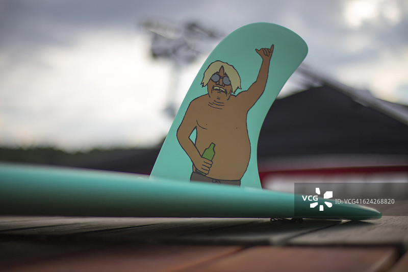 长板鳍图片素材