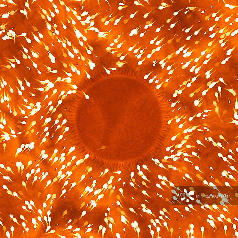 卵子和精子艺术图图片素材