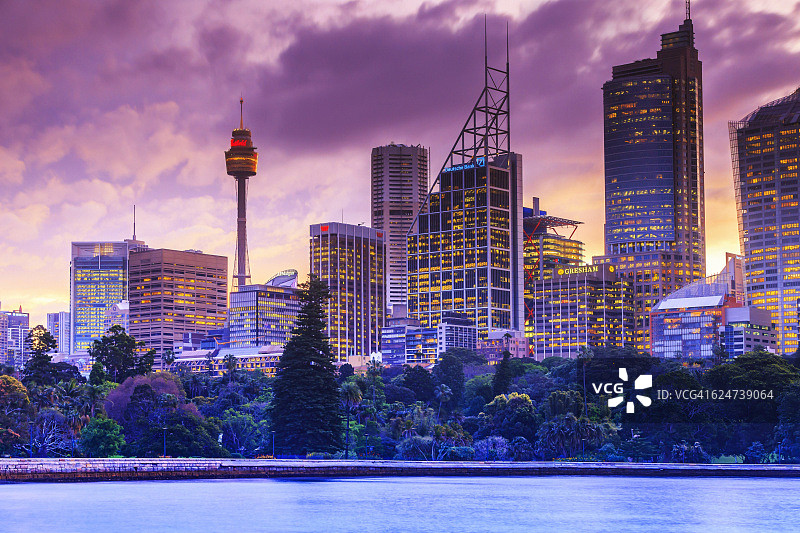 悉尼城市夜景与电视塔图片素材