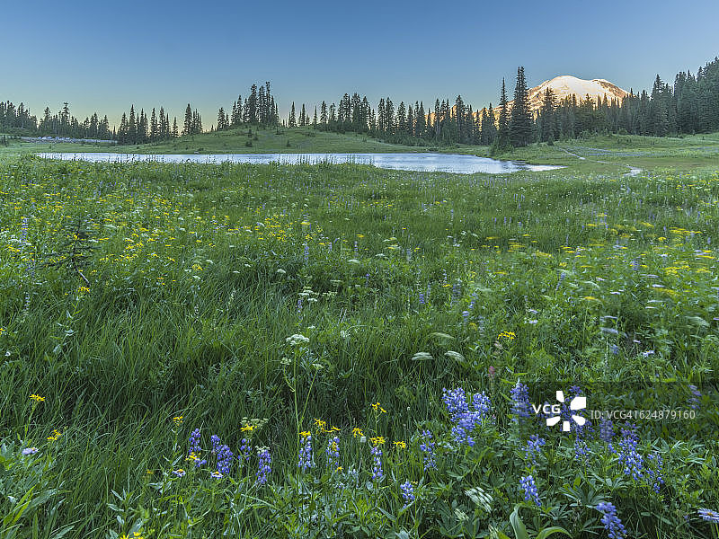 雷尼尔山蒂普苏湖风光图片素材
