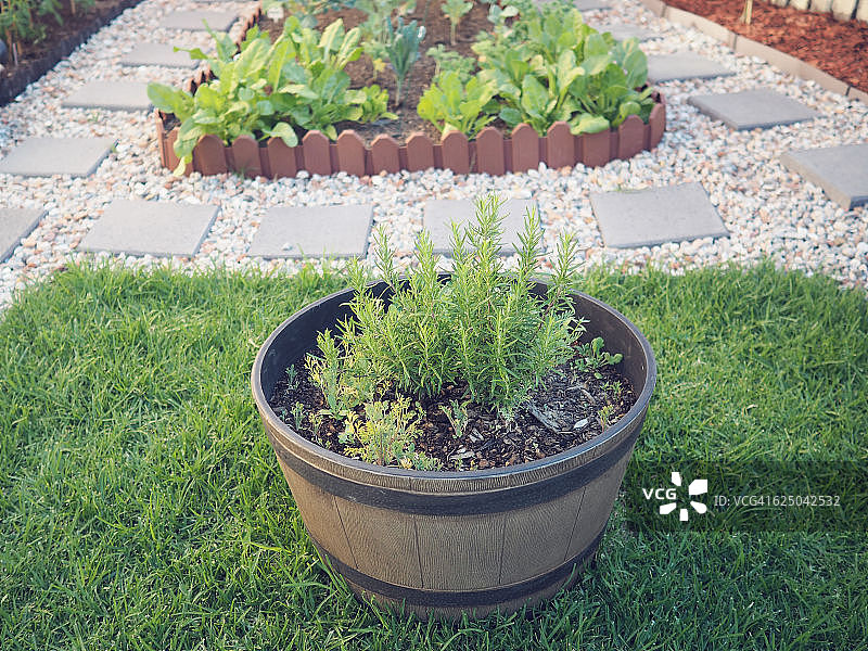 鲜花香草桶与花园苗圃图片素材