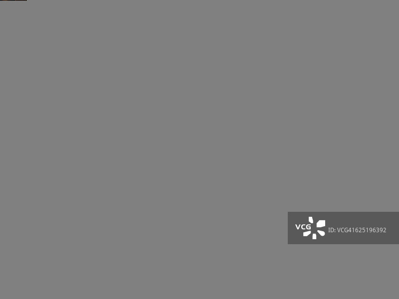 地面上彩色干燥的秋叶照片图片素材