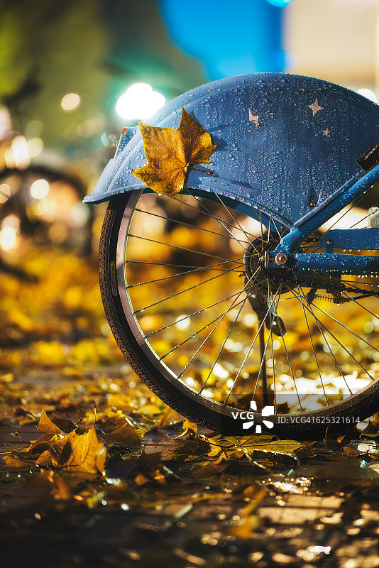 秋雨夜里粘在公共自行车上的落叶图片素材