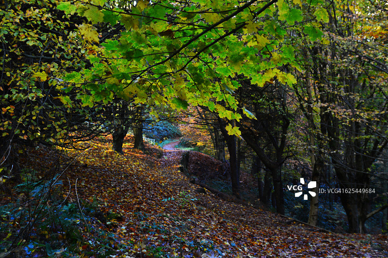 秋季图片图片素材